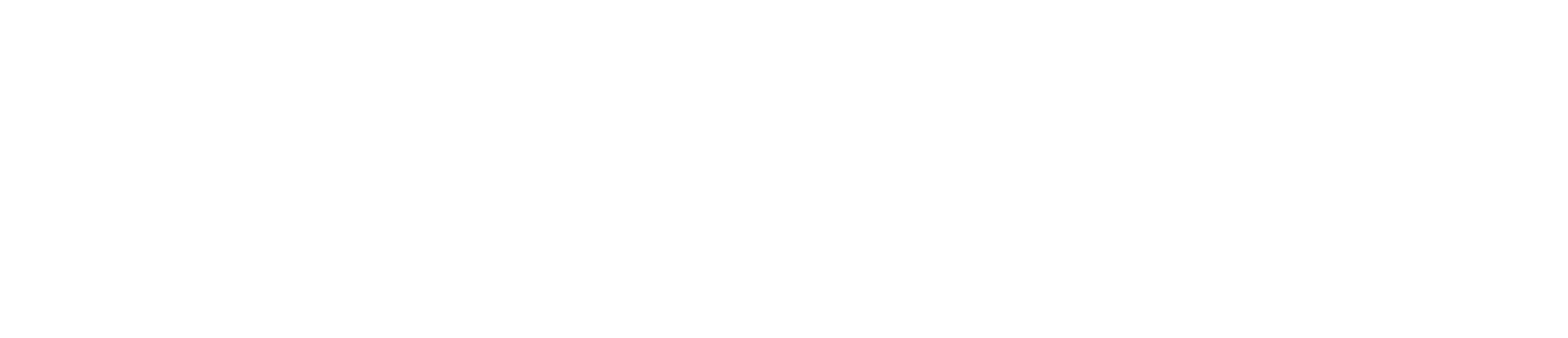 VineConnect® Official Logo