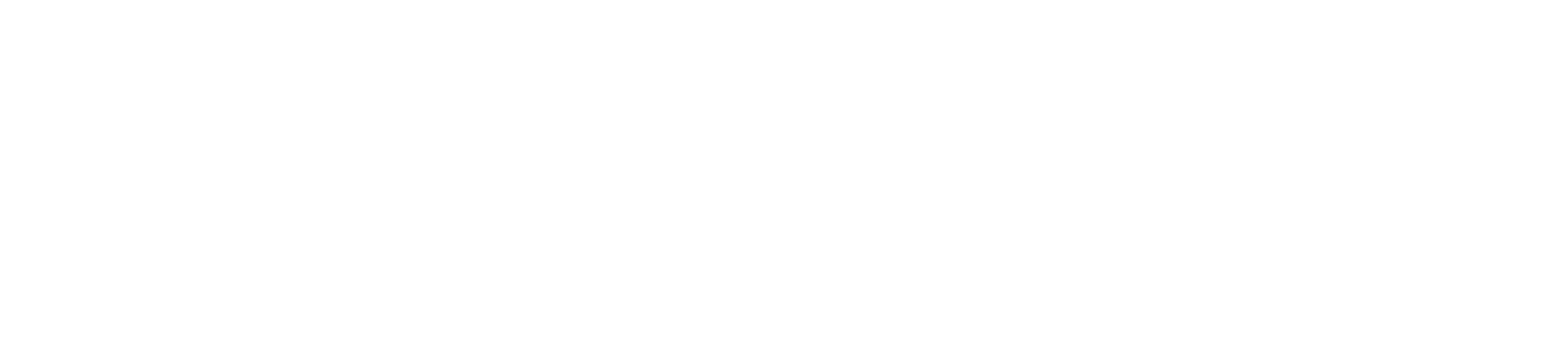 VineConnect® Official Logo